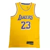 Men's Los Angeles Lakers LeBron James #23 Swingman NBA Jersey - Icon Edition 2021 - jerseystop