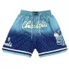 Men's Charlotte Hornets NBA Shorts - jerseystop