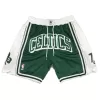 Men's Charlotte Hornets NBA Shorts - jerseystop