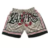 Men's Los Angeles Lakers NBA Shorts - jerseystop