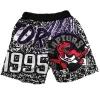 Men's Toronto Raptors NBA Shorts - jerseystop