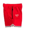 Men's Chicago Bulls NBA Shorts - jerseystop