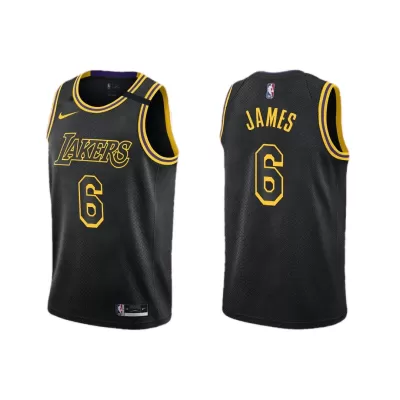 Kids's LeBron James #6 Swingman NBA Jersey - jerseystop