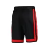 Men's Chicago Bulls Swingman NBA Shorts - City Edition 2023/24 - jerseystop